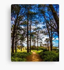 trees Canvas Print