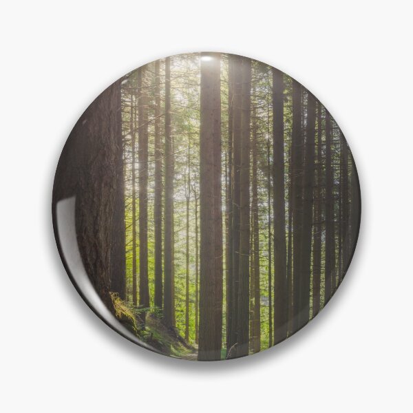Item preview, Forest in Tuscany region, Italy. designed and sold by Stefano Orazzini.