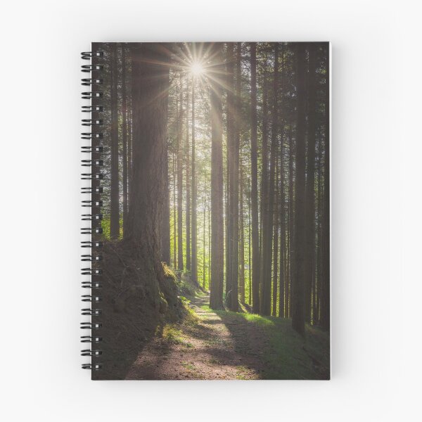 Item preview, Forest in Tuscany region, Italy. designed and sold by Stefano Orazzini.