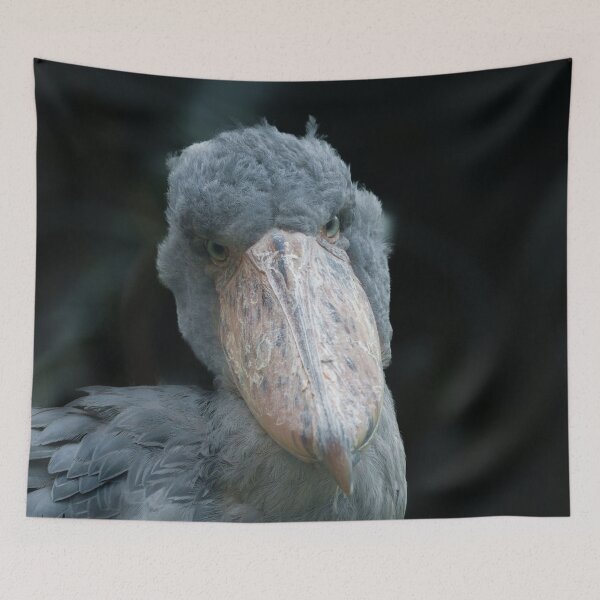 Item preview, Shoebill's Charm designed and sold by rawshutterbug.