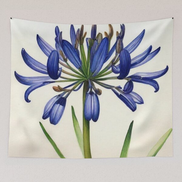 Item preview, Star of Bethlehem  designed and sold by Lachrymosa.
