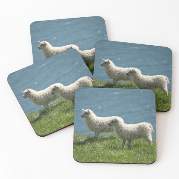 Item preview, Sweet Icelandic lambs designed and sold by ChicVoyagePics.