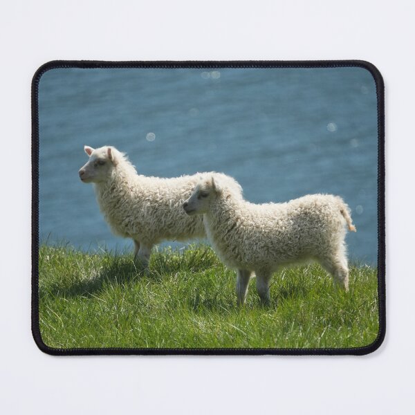 Item preview, Sweet Icelandic lambs designed and sold by ChicVoyagePics.