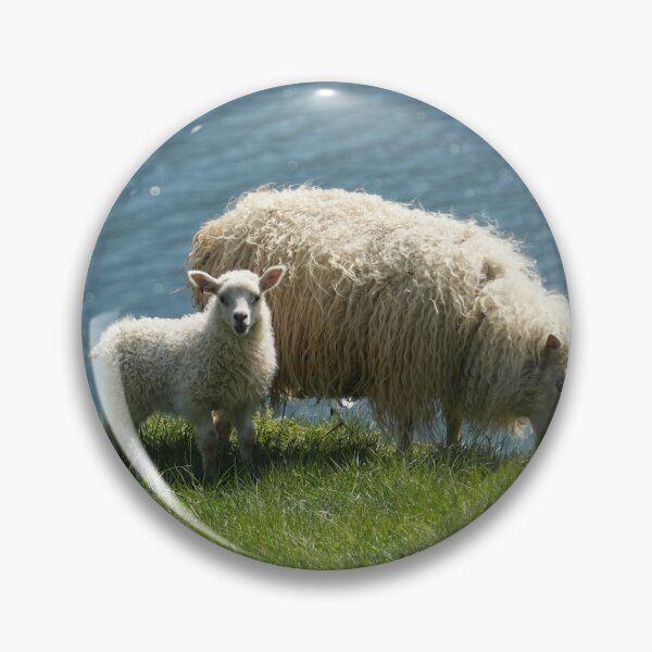 Item preview, Sweet Icelandic lamb with his mother designed and sold by ChicVoyagePics.