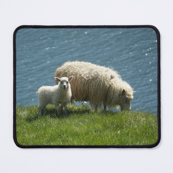 Item preview, Sweet Icelandic lamb with his mother designed and sold by ChicVoyagePics.
