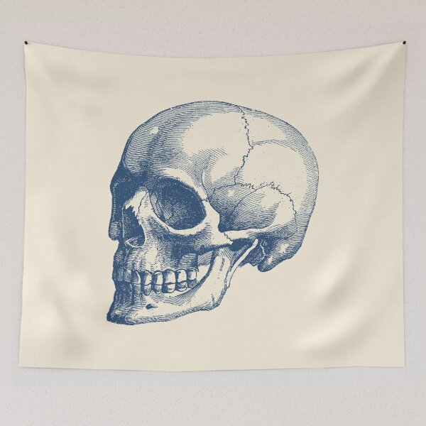 Item preview, Human Skull - Vintage Anatomy designed and sold by VAposters.