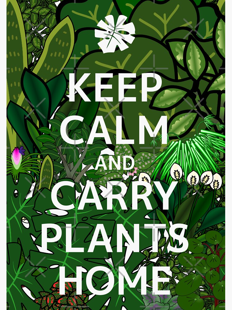 Thumbnail 3 of 3, Sticker, Keep calm carry plants parody meme (jungle edition) designed and sold by meldra.