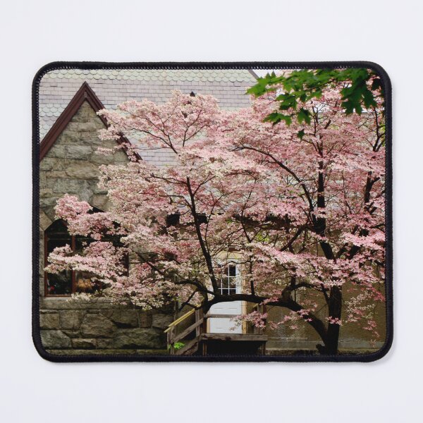 Item preview, Blossoming designed and sold by AGODIPhoto.