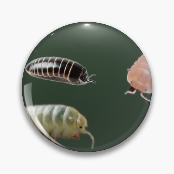Item preview, Isopod photo sticker pack  designed and sold by Bubocrafts.