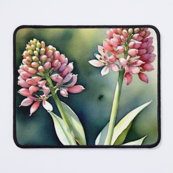 Item preview, Common milkweed designed and sold by Lachrymosa.