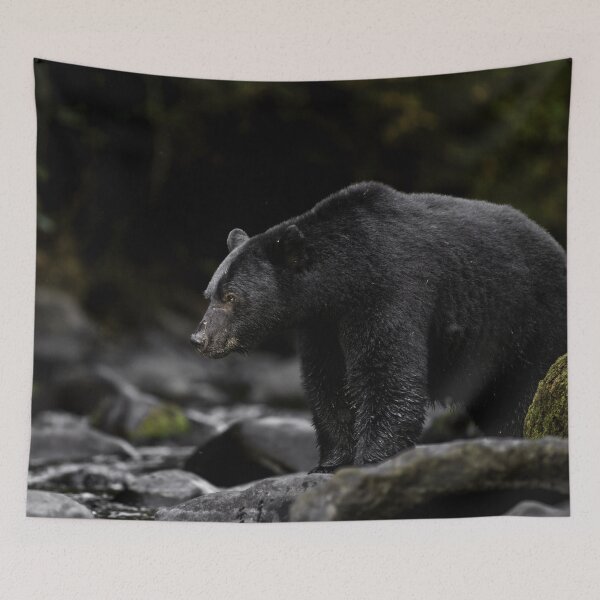 Item preview, American Black Bear waiting to catch a Salmon. designed and sold by FormigaArt.