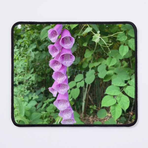 Item preview, Purple Foxgloves designed and sold by aspiritualgirl.