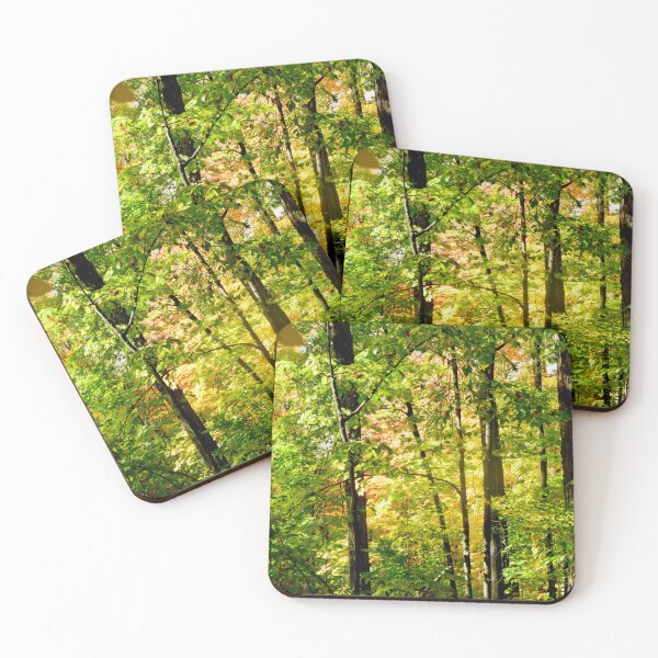 Item preview, Woods on the banks of the Ottawa River designed and sold by Shulie1.