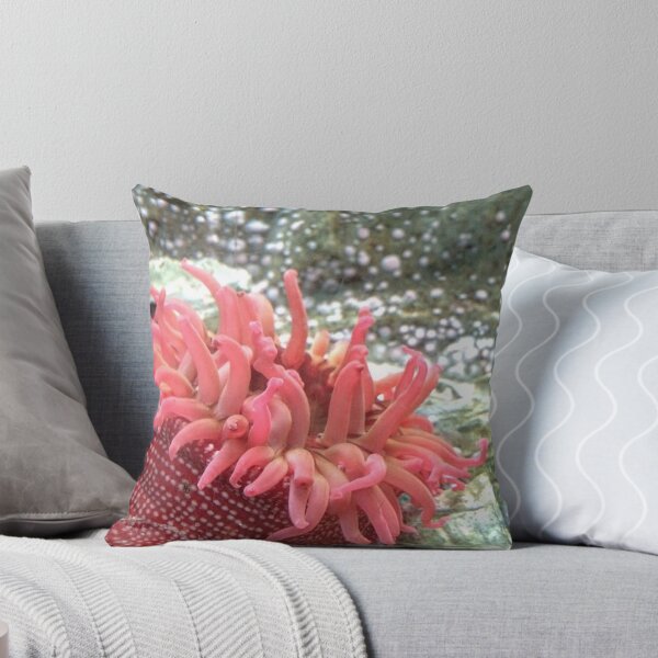 Item preview, Anemone Amenity designed and sold by jackbattle6.
