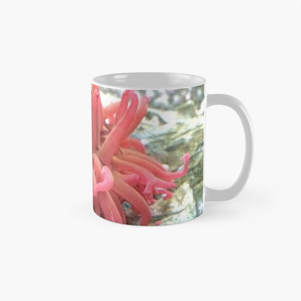 Item preview, Anemone Amenity designed and sold by jackbattle6.