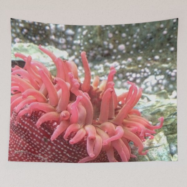 Item preview, Anemone Amenity designed and sold by jackbattle6.