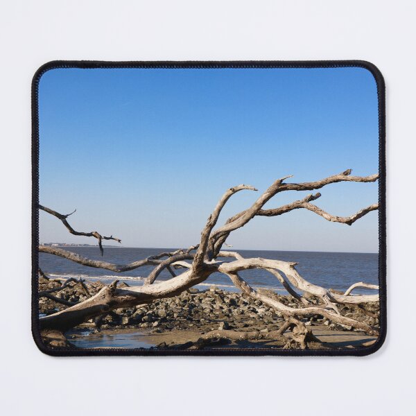 Artikelvorschau, Jekyll Island Treibholz Strand entworfen und verkauft von Sea West Studio.