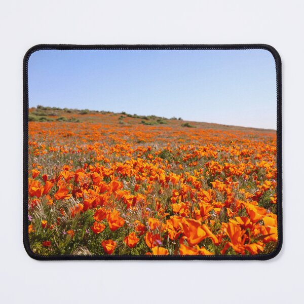 Item preview, A "Poppy" of Color designed and sold by Sea West Studio.