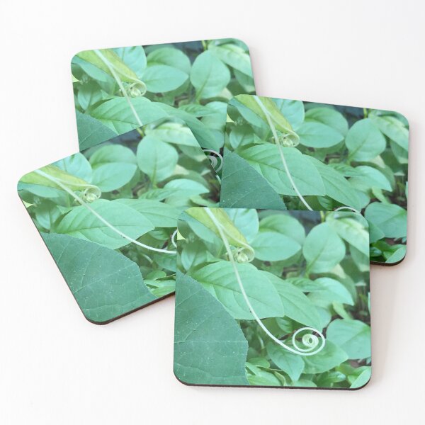 Item preview, Whimsical Pumpkin Vine designed and sold by scarpacific.