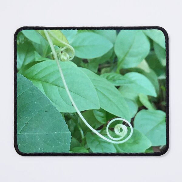 Item preview, Whimsical Pumpkin Vine designed and sold by scarpacific.