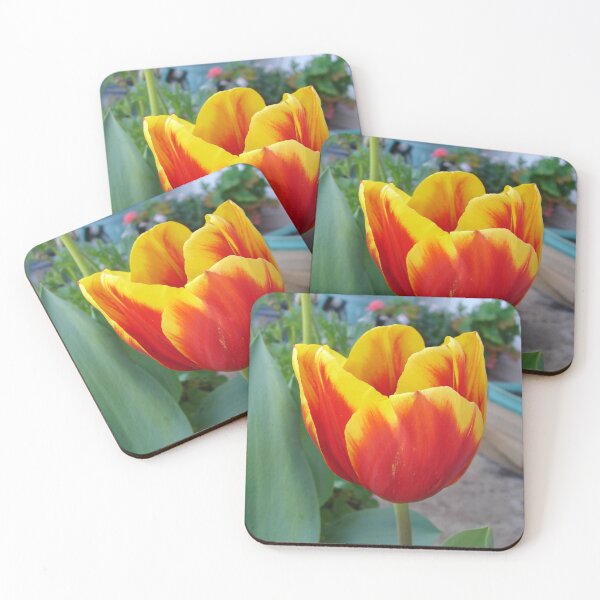 Item preview, Red Tulip Flower - With Yellow Edges designed and sold by Sarah  Rajkotwala.