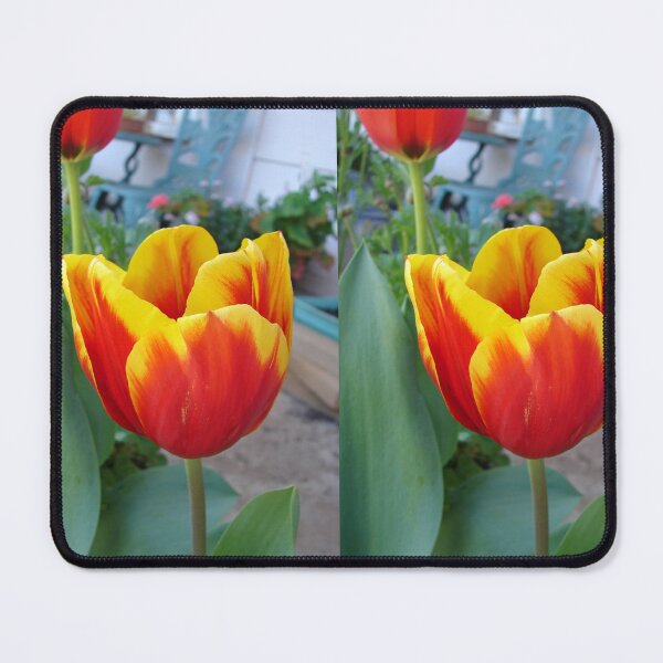 Item preview, Red Tulip Flower - With Yellow Edges designed and sold by Sarah Rajkotwala.