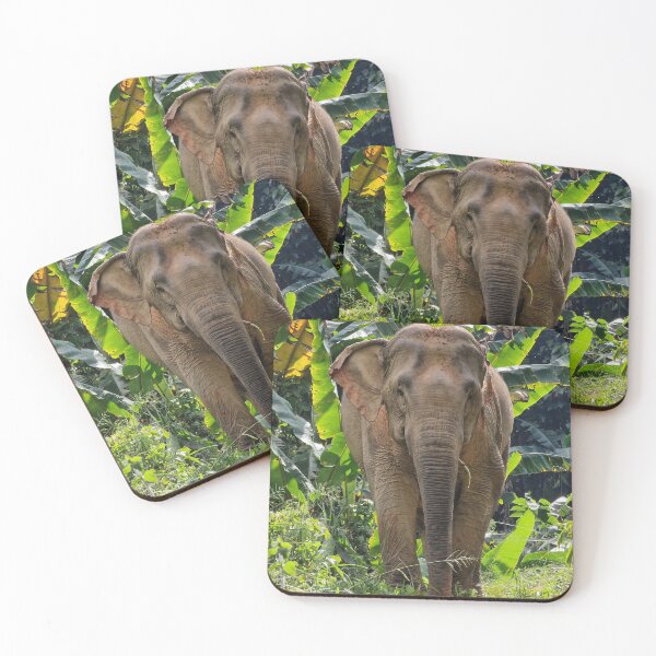 Item preview, Elephant encounter designed and sold by Kapiii13.