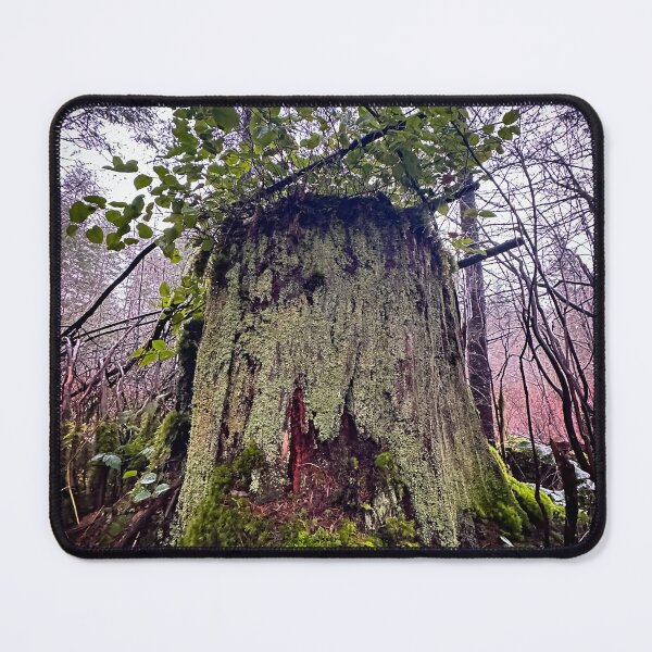 Item preview, Regrowth designed and sold by Svgsvg.