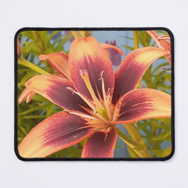 Item preview, Lily Flower Orange designed and sold by Sarah  Rajkotwala.