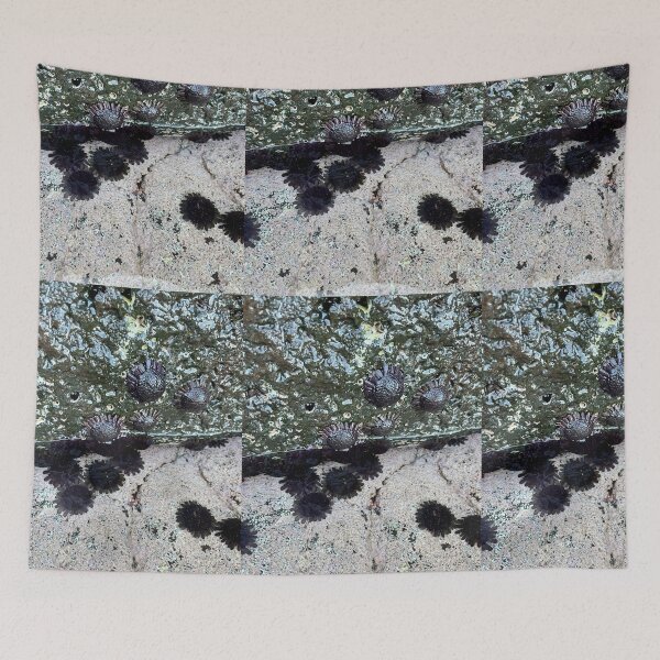 Item preview, Urchins at Maku’u  designed and sold by KimberlyBozeman.