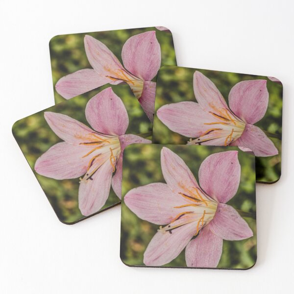 Item preview, Let it rain Lily designed and sold by CMFMediaOz.