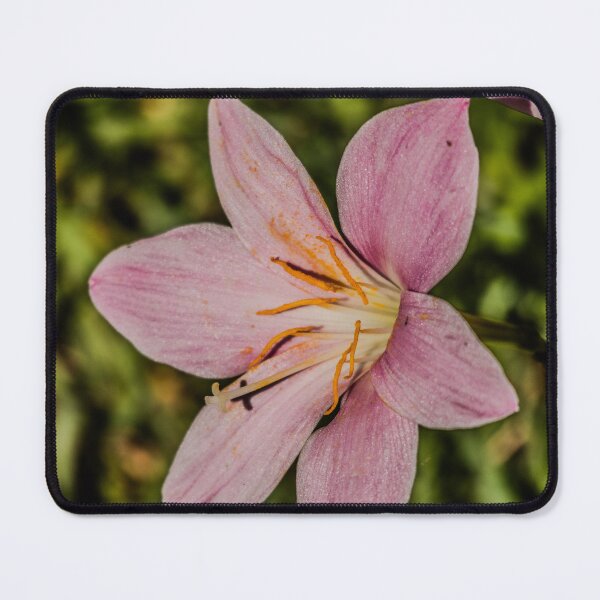 Item preview, Let it rain Lily designed and sold by CMFMediaOz.