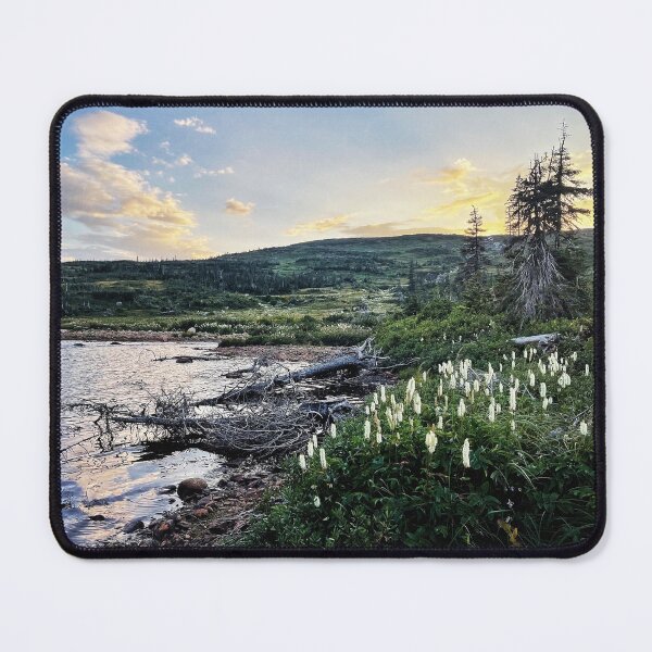 Item preview, A Nice Place To Camp For The Night designed and sold by Jason Tompkins.