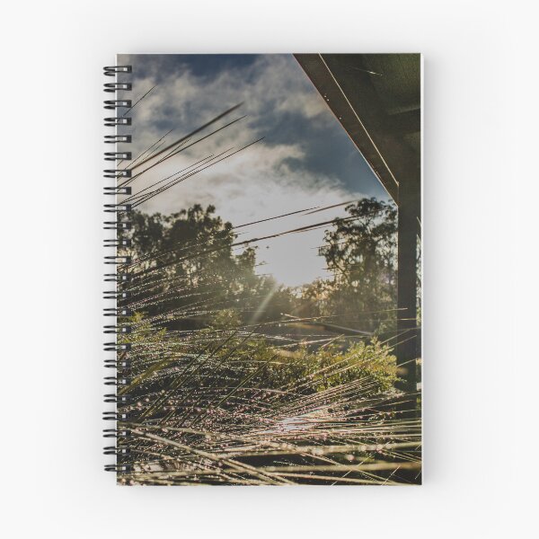 Item preview, In the shade of the Bulga grass tree designed and sold by CMFMediaOz.