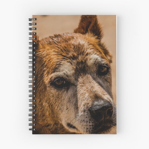 Item preview, Good old red dog designed and sold by CMFMediaOz.