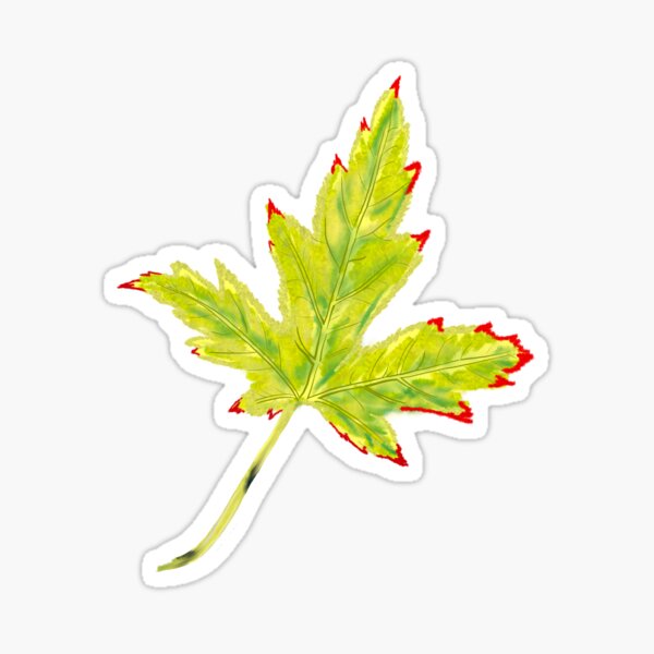 Item preview, Fall Leaf designed and sold by katelynroseart1.