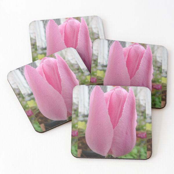 Aperçu de l'œuvre Fleur de tulipe rose créée et vendue par Sarah Rajkotwala.