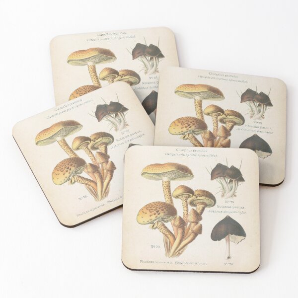 Item preview, Goblin core mushrooms - ancient botanical vintage book illustration designed and sold by Fantasy Cache.