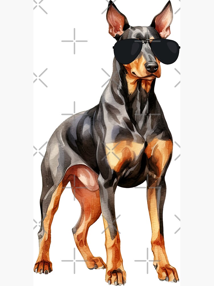 Doberman Pinscher Wearing Sunglasses