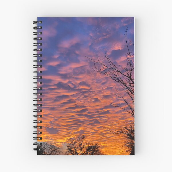 Item preview, Texas Sun designed and sold by scarpacific.