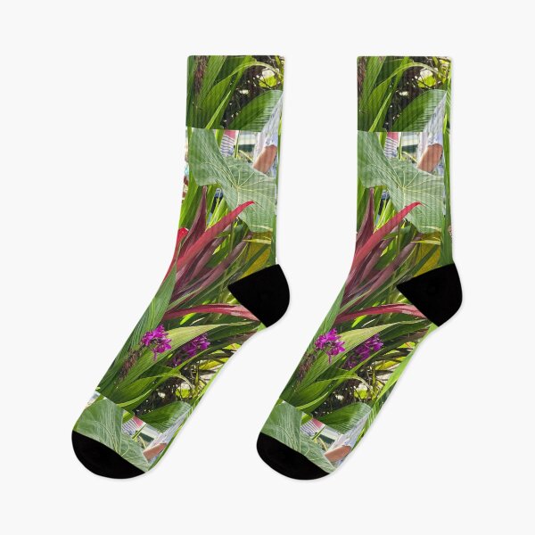 Aperçu de l'œuvre Splendeur tropicale créée et vendue par KimberlyBozeman.