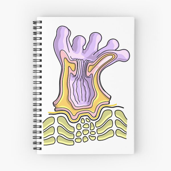 Item preview, Coral Polyp Anatomy Diagram - Marine Biology Illustration designed and sold by taylorcustom.