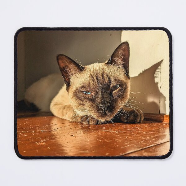 Item preview, Siamese in Sunlight designed and sold by ronirosee.