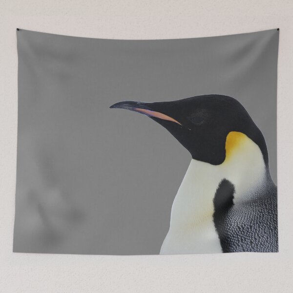 Item preview, Emperor Penguin Side Profile Shot (Grey #808080 background)  designed and sold by SBPenguins.
