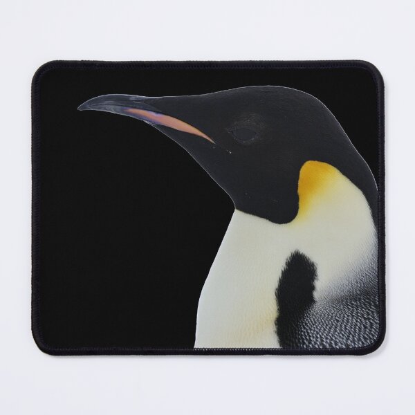 Item preview, Emperor Penguin Side Profile Shot (Black background)  designed and sold by SBPenguins.