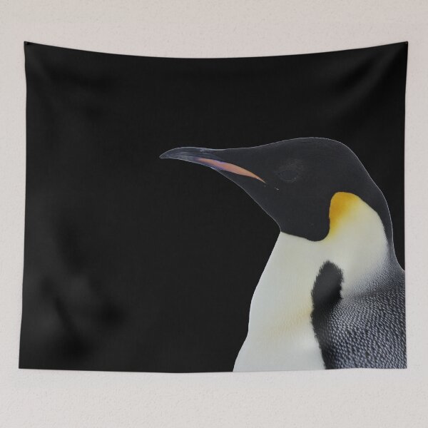 Item preview, Emperor Penguin Side Profile Shot (Black background)  designed and sold by SBPenguins.