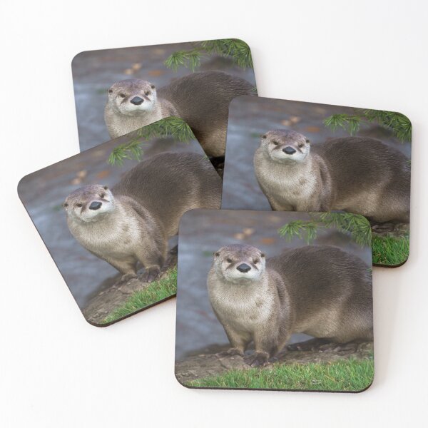 Item preview, Adorable Otter on the Riverbank designed and sold by rawshutterbug.