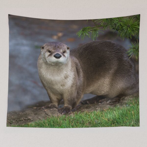 Item preview, Nutria adorable en la orilla del río designed and sold by rawshutterbug.