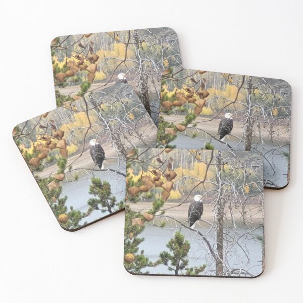 Item preview, Eagle in Colorado designed and sold by scarpacific.