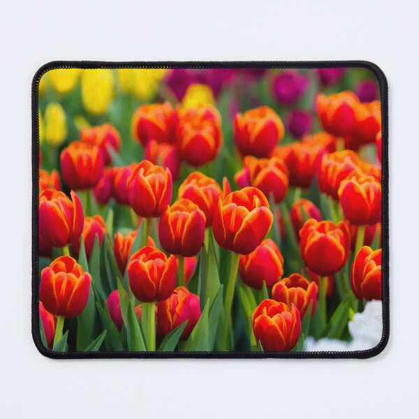 Item preview, Red Purple Yellow Tulips designed and sold by ea-photos.